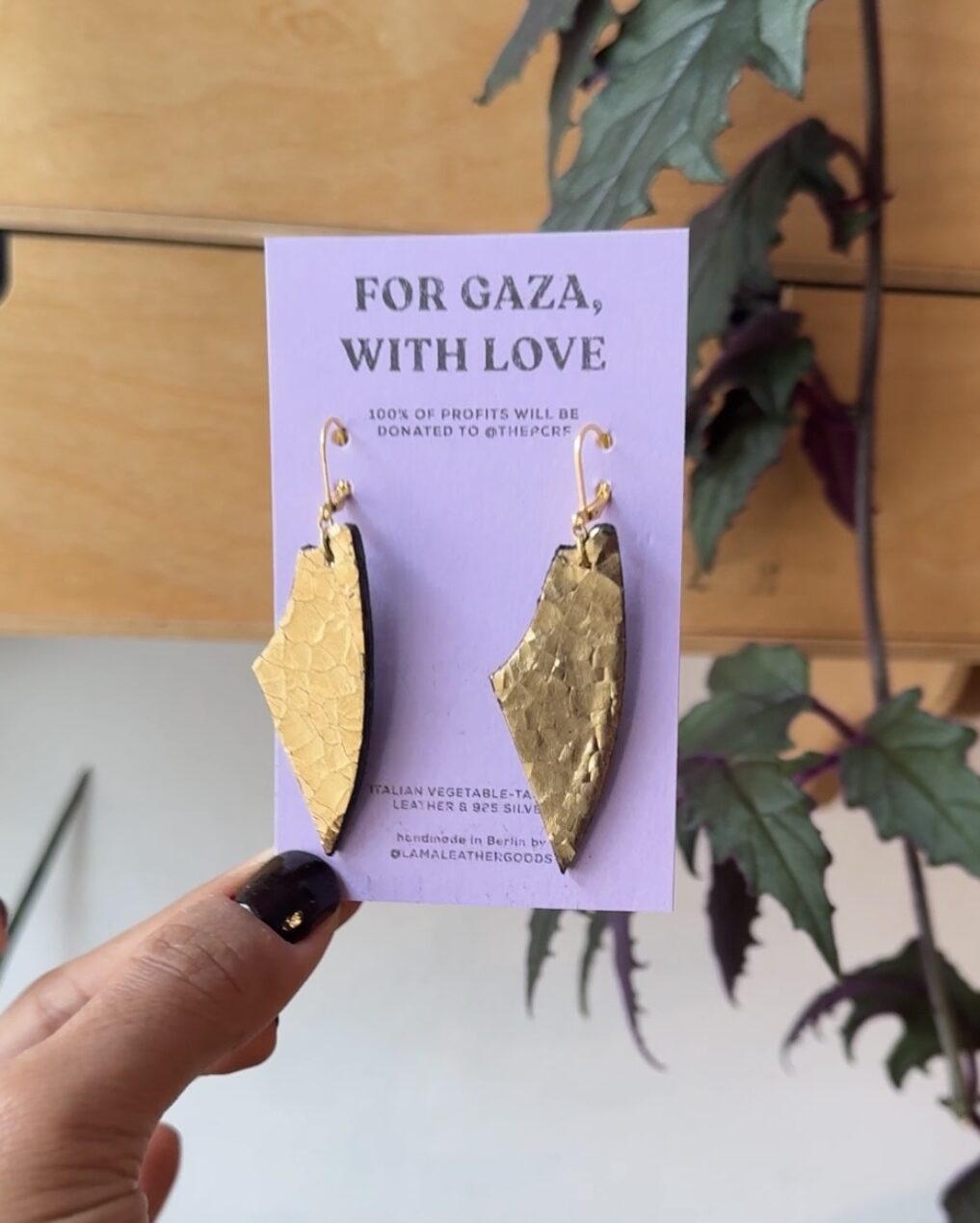 IMG 3898 e1773927767971